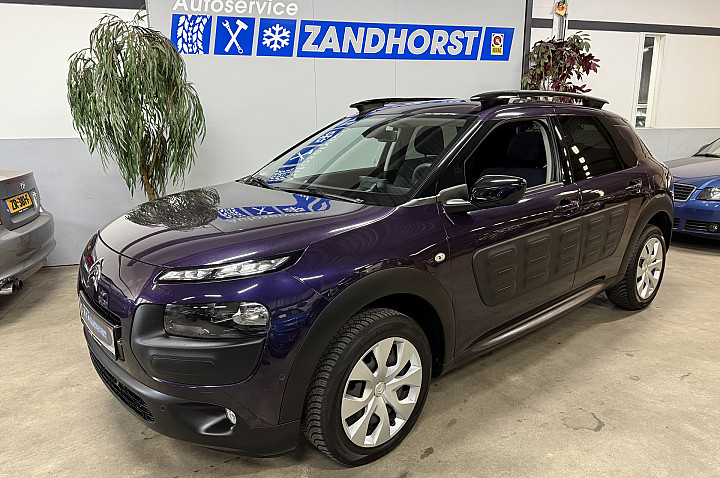 Citroën C4 Cactus 1.2 PureTech Business Plus // Cruise // Trekhaak