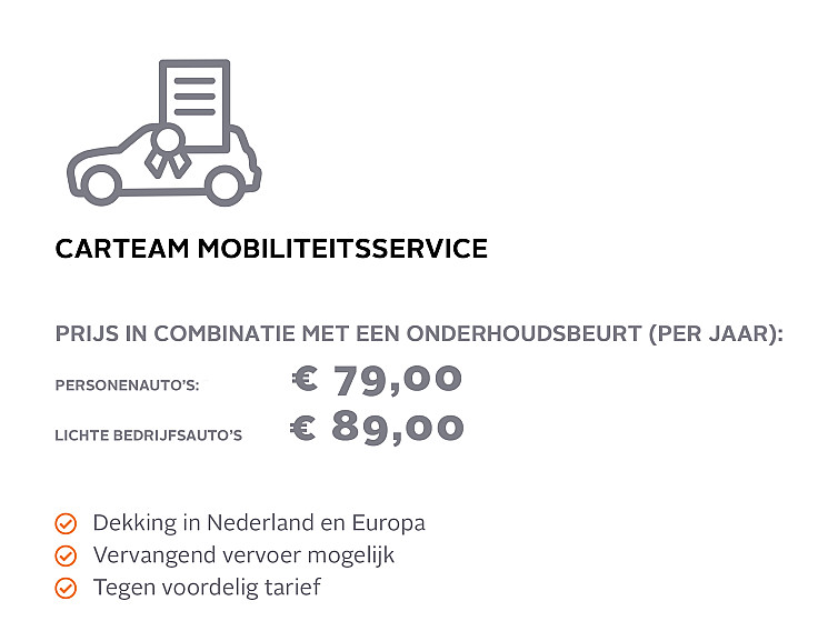 Carteam Autoservice Zandhorst